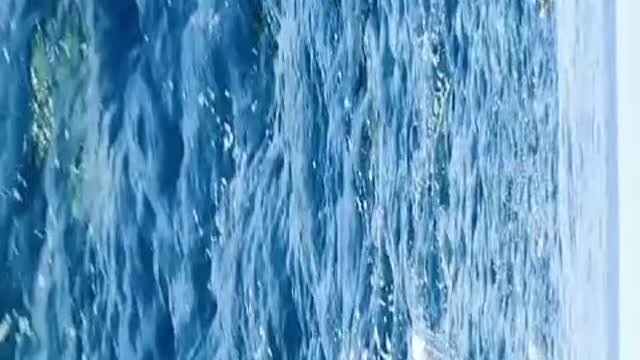 Not everyone can control the rough sea.