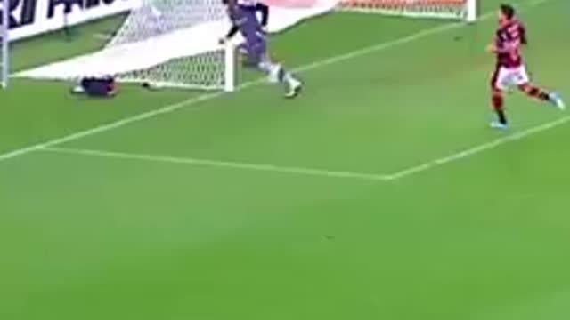 WATCH THIS VIDEO HOW AMAZING IT IS, SENSATIONAL