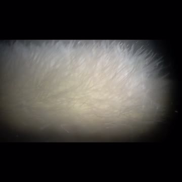 These are on your COVID Test Swabs.