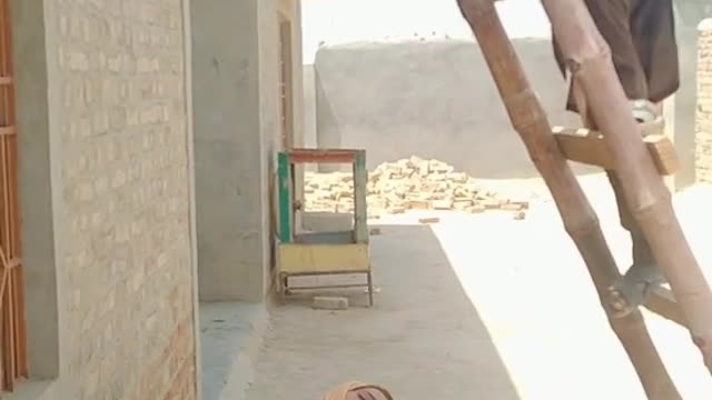 funny video clip