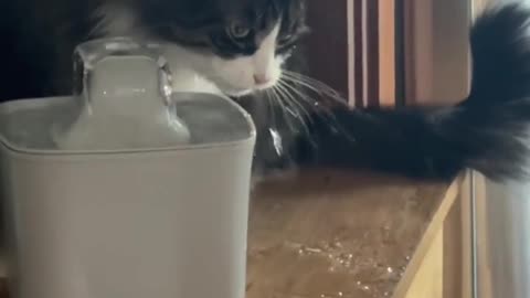 I'm tired of cleaning up after this asshole