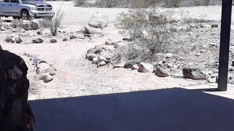 BLM Harquahala byway