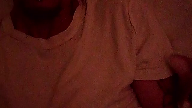 The cat loves a cuddle