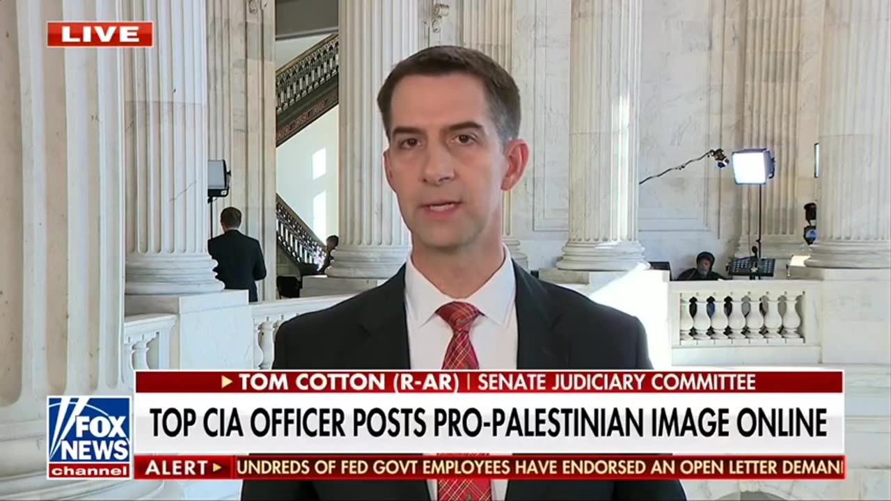 Sen Cotton: Suspend CIA Official After Posting Pro Palestinian Image..