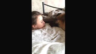 German Shepherd Whines To Owner About Her Bad Day