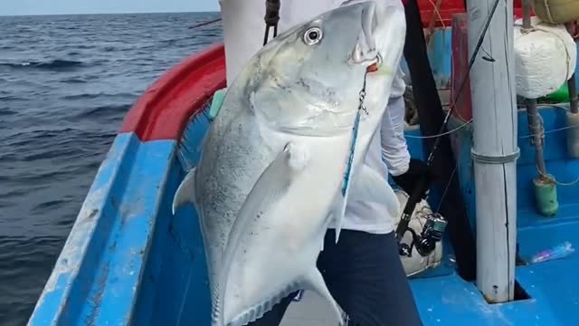 Fishing . Lucky fishing day ! Ocean fishing . Vietnam!