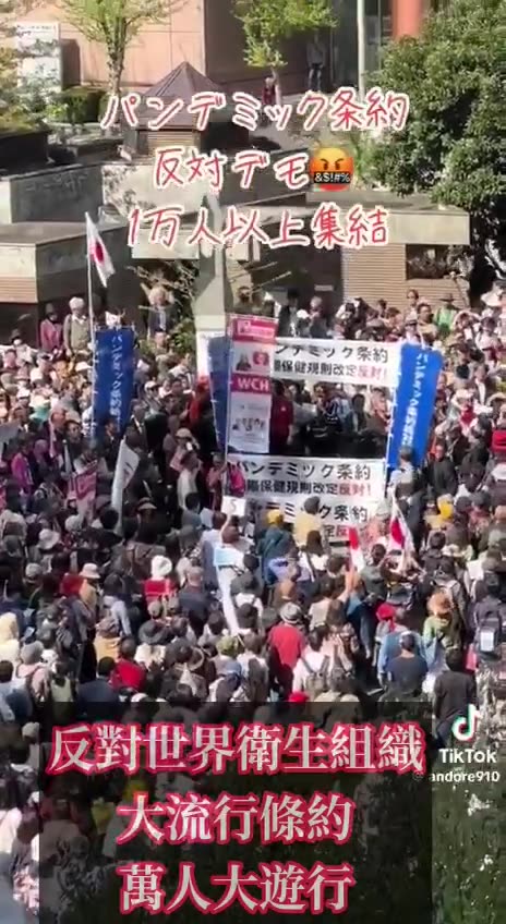 “日本訊息_萬人大遊行”日本上萬民眾結集大遊行，反對世衛組織（W.H.O）大流行條約 3