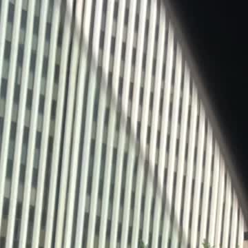 Girls riding on scooters