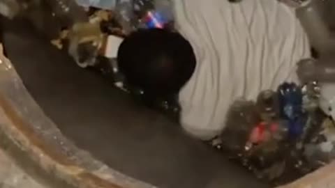 Who is looking, he will always find