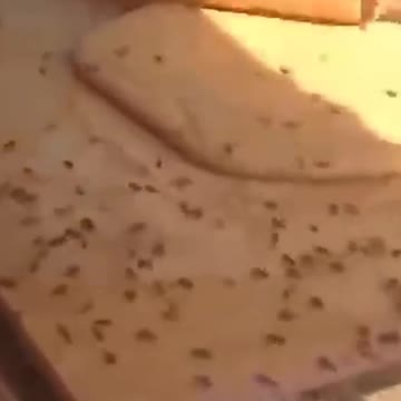 😰 😰 Unhygienic indian food On Camera 😰😰