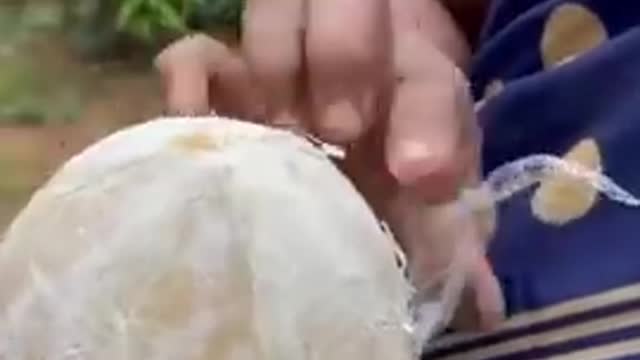 Indian experts cutting coconut