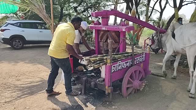 Homemade method of extracting sugarcane juice