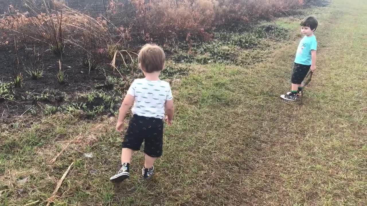 Adorable brothers careful not to step on shimmering spiderwebs in early morning light.