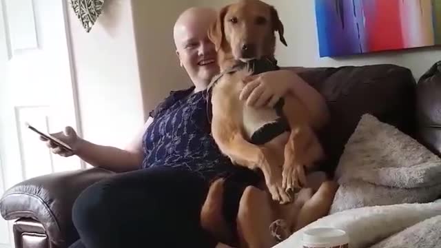 Affectionate doggo