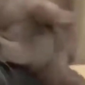 2021 cute pupps and kittens #6