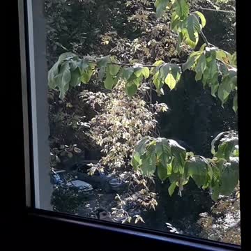 People, did you forget to feed me?