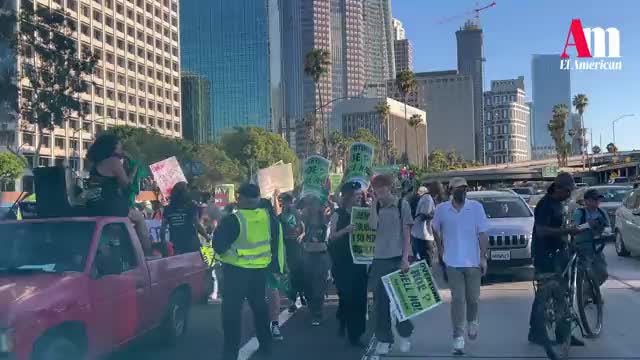 Los Angeles: Pro-abortion protesters shut down the freeway & use sticks to attack drivers