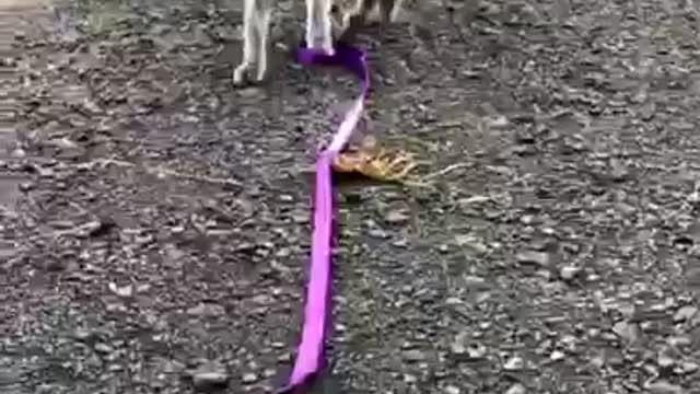 Please don’t go