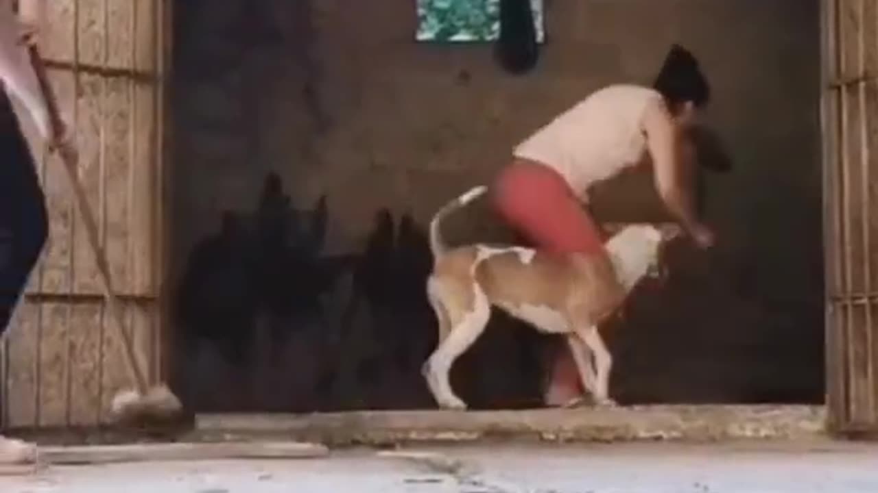 Funny video - lol #viral #funny #trending