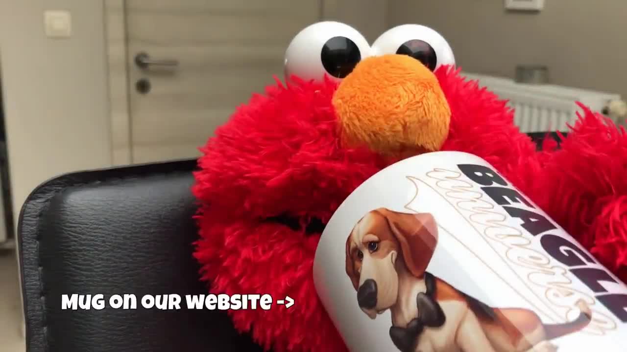 Oh my!! Elmo pranking these cute dogs lol