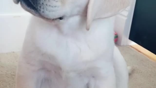 Born this baby