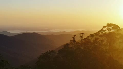 Mt glorious Queensland Australia