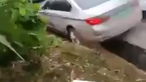 Expert Police Road Block Evasion