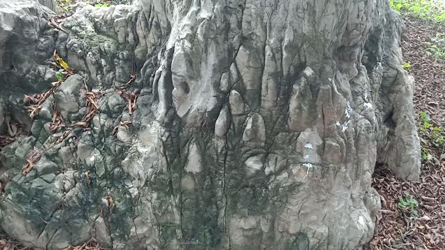 This rockery is like real, lifelike