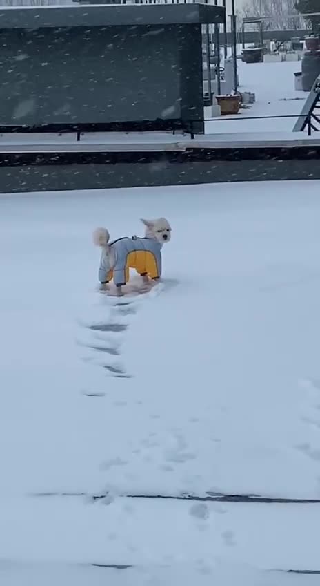 That’s not funny human 🤣🤣🤣🤣