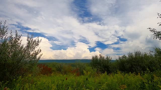 Bald Eagle Cloudscape