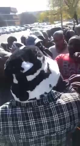 Uber drivers protest in Johannesburg