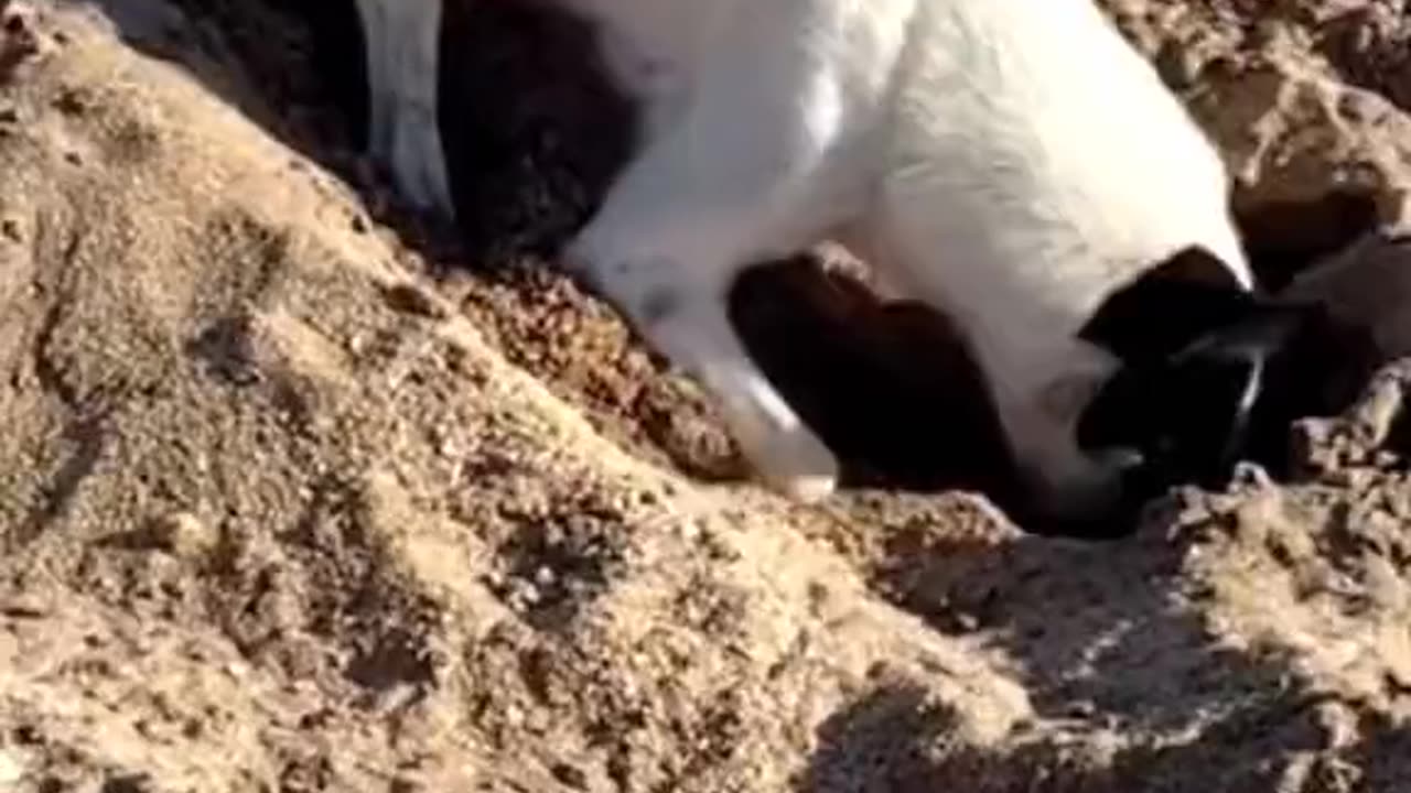 Save This One For Later