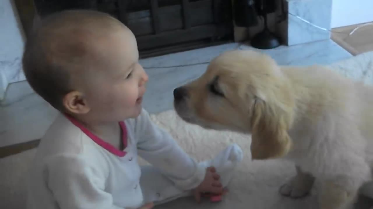 Baby And Puppy Meet For The First Time-Cute Moments