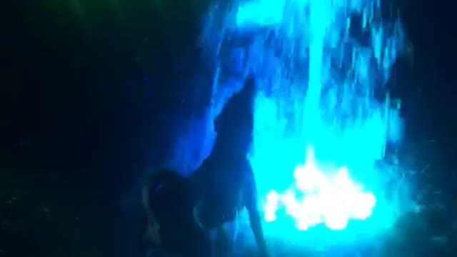 Dog attacks blue water fountain