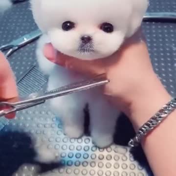 Do you like my new hairstyle