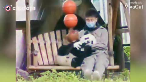 Cute panda my zoo