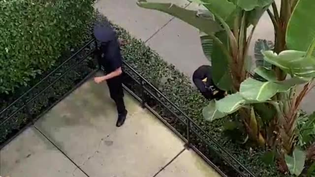 COP CHASES CRIMINAL LIVE!