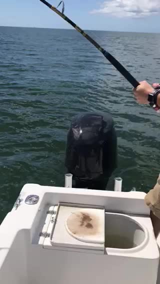 Cooperski Catches a Shark