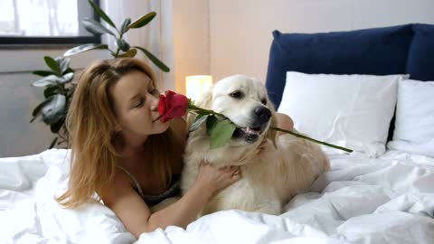 Beautiful dog and his rose