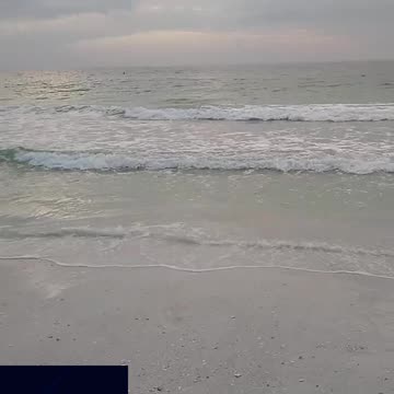 Happy New Year 2024!