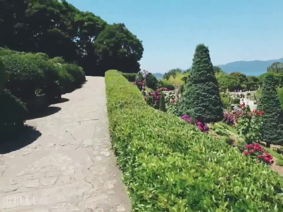a beautiful garden in Korea
