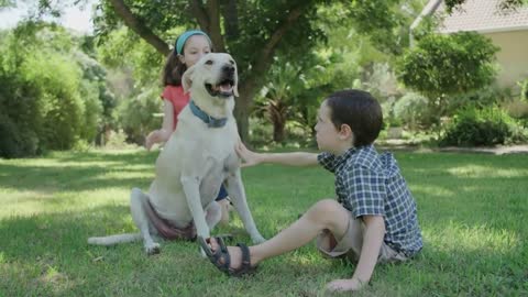 Left a Girl Alone with Six Pitbulls. What They Did At Night Was Unbelievable