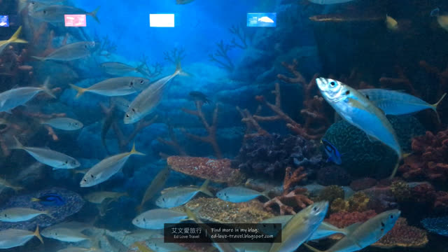 【韓國】釜山景點 ‧ 水產科學館