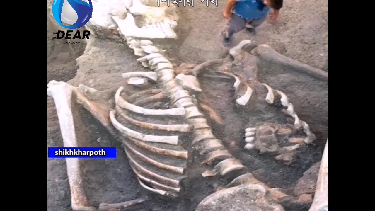 অদ্ভুত ফ্যাক্ট মানুষের সাথে ঘটে যাওয়া রহস্যের