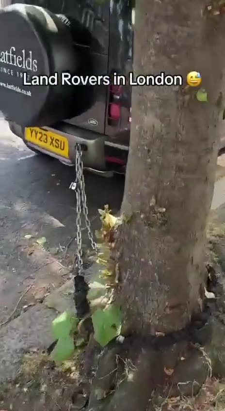 Meanwhile in London..🌳🚗