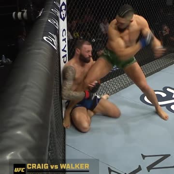UFC FIGHTERS_ CRAIG VS WALKER 👊👊👊