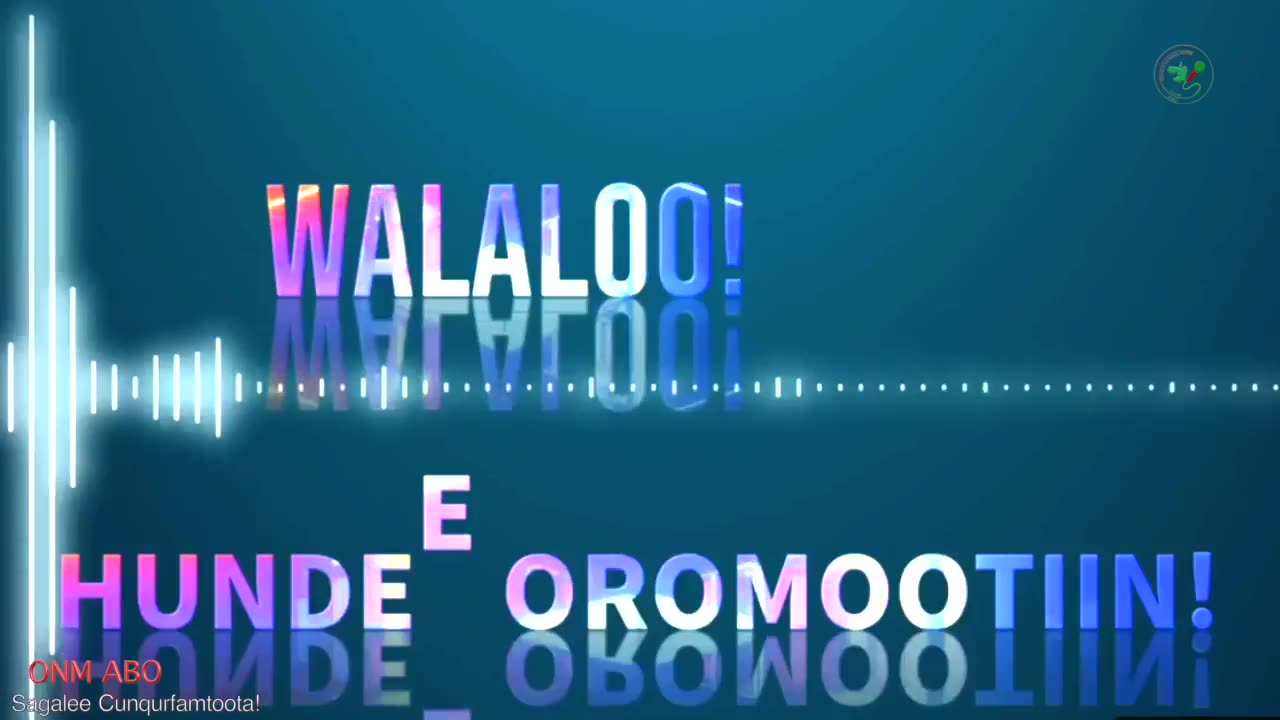 Qophii Walaloo ONM-ABO Muddee 10-2024 dhiyaadhaa!