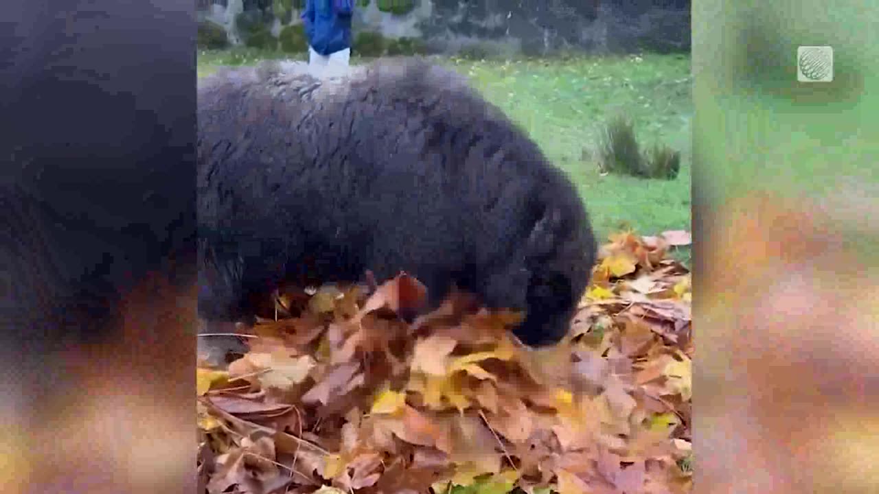 Something uplifting for a change.