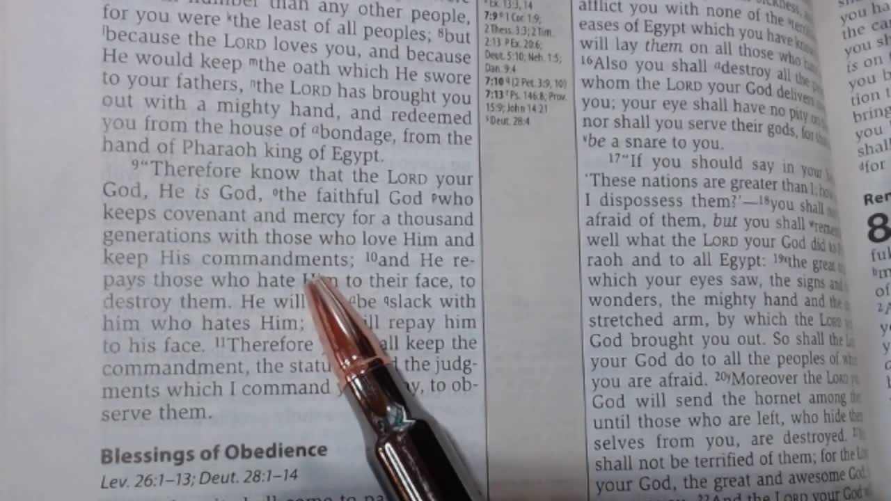 John 17:6-19 (Jesus prays for His disciples)