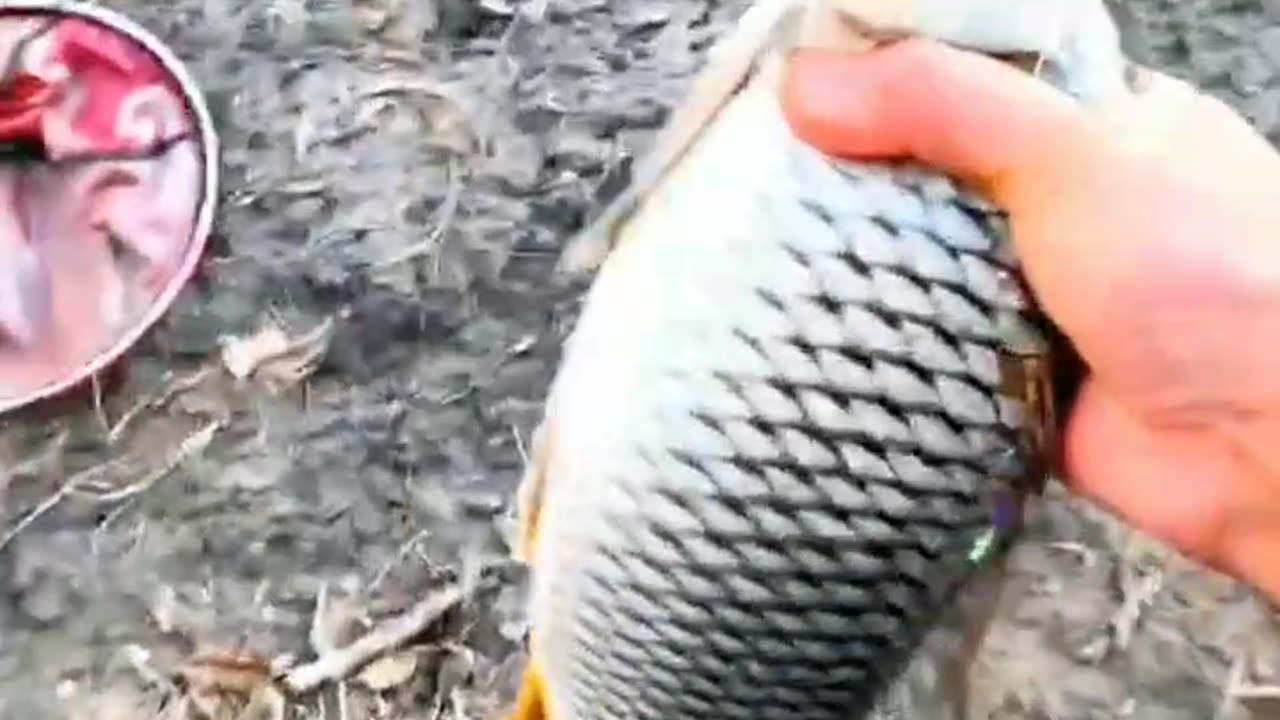 Amazing fishing tricks